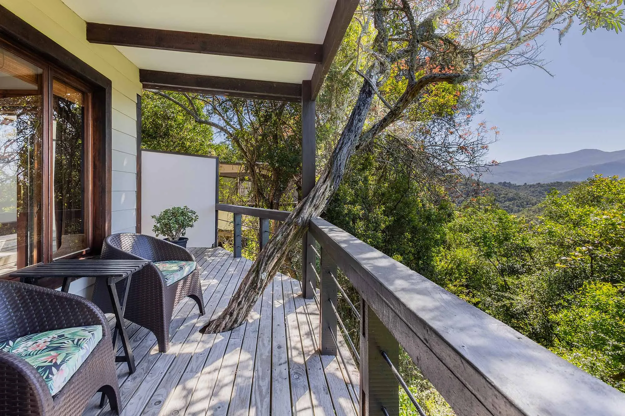 Hog Hollow Country Lodge - 3
